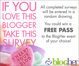 bloghersurvey-300x250.gif